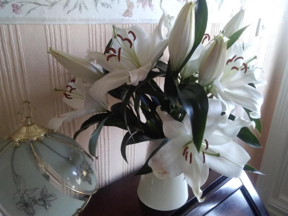 Beechlands B & B Sleights Εξωτερικό φωτογραφία